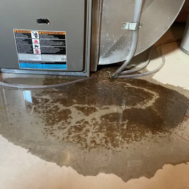 Appliance Leak Cleanup in Cumberland County, IL